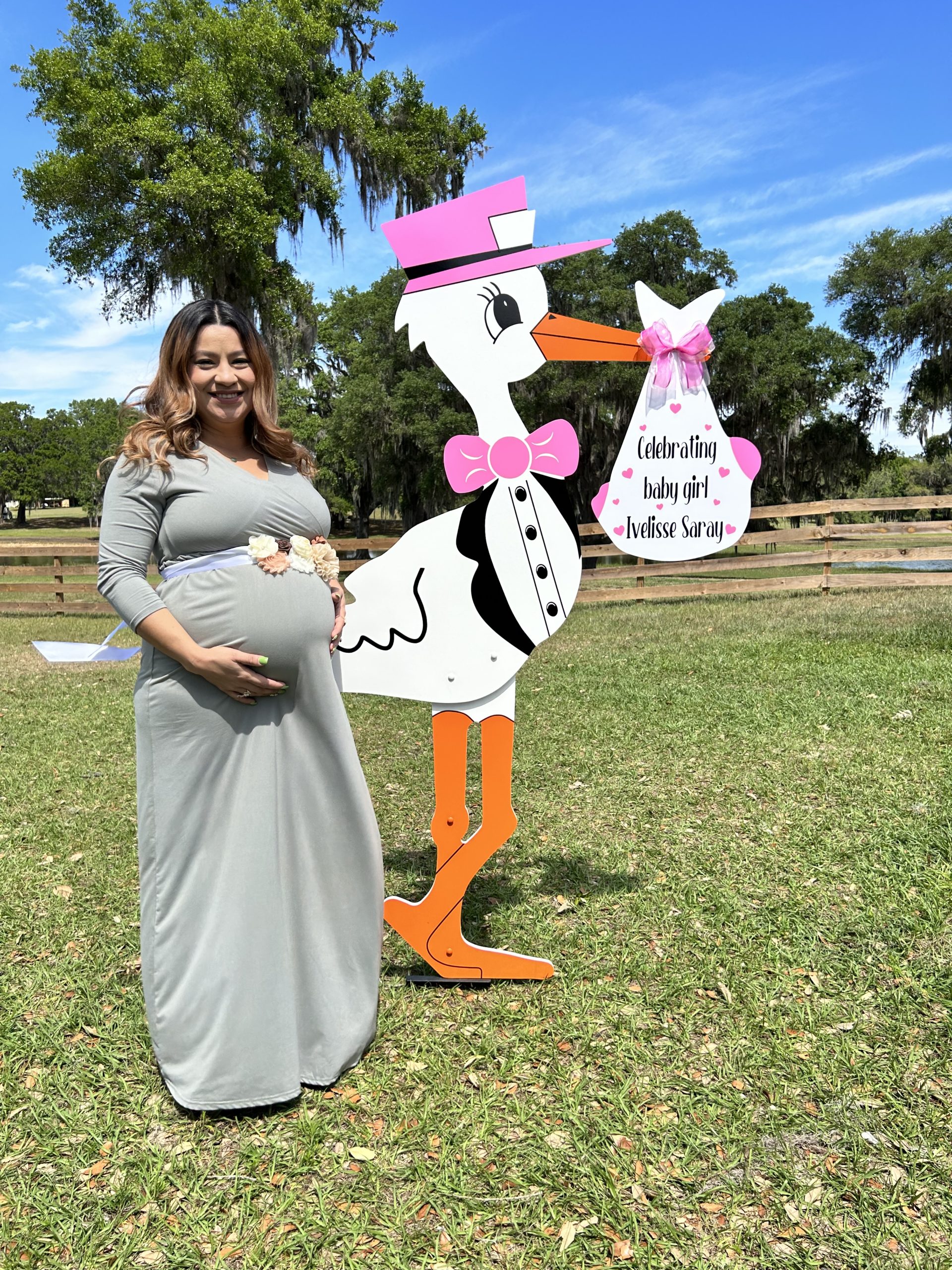 Baby Shower stork rental – Dade City, FL