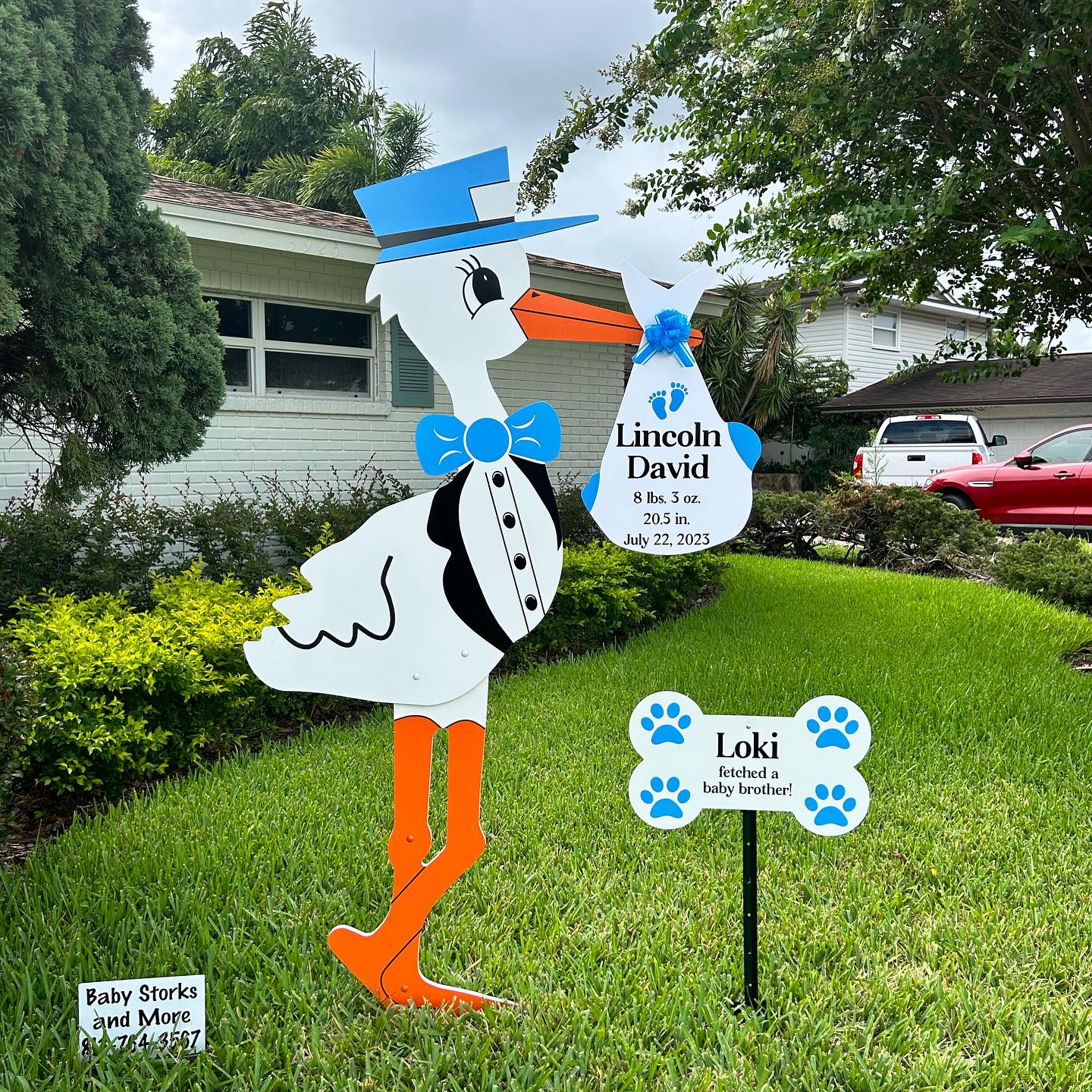 Stork Sign – Tampa, Florida